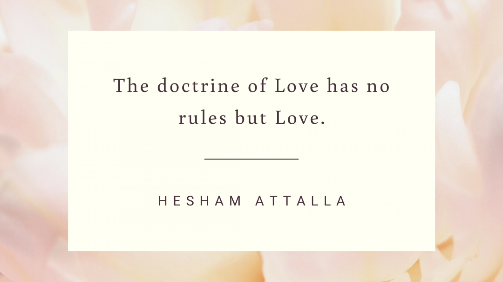 Love is the only rule