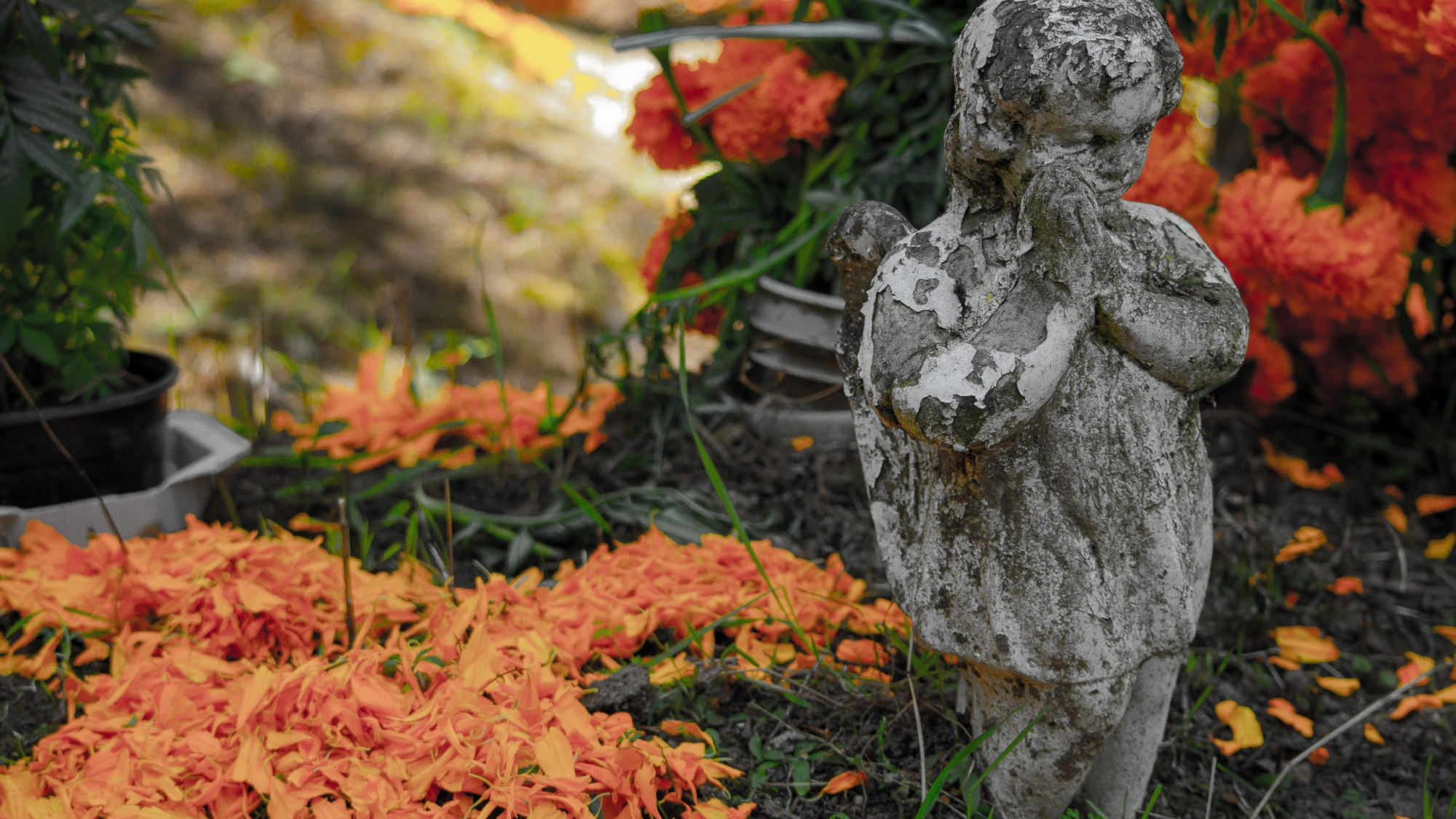 Death is a guardian of life